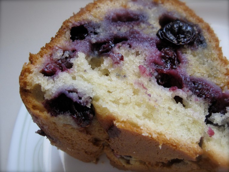 blueberry cake slice